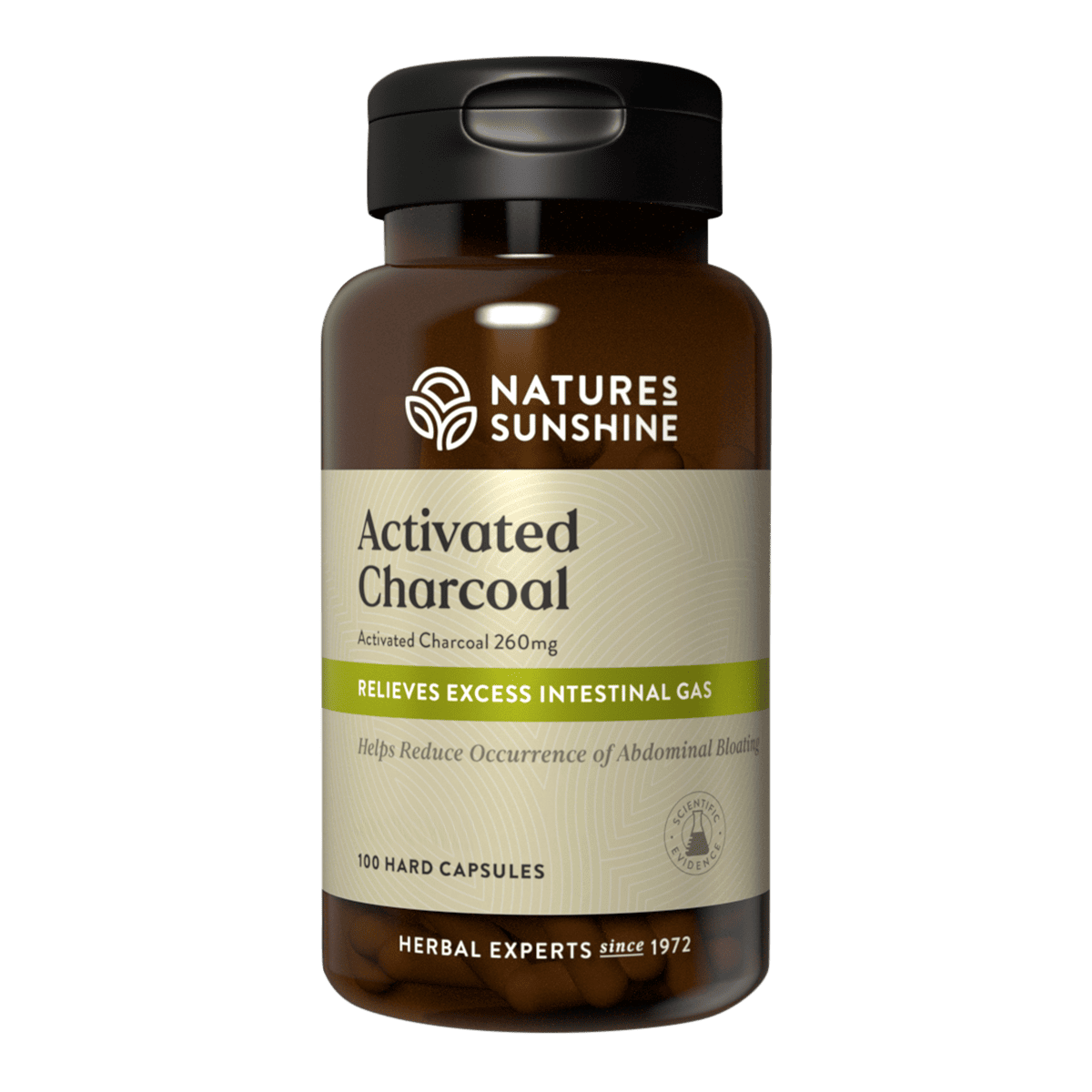Nature's Sunshine Activated Charcoal
